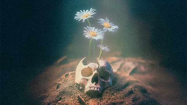 3rd Drop_v2: The Flower Skull Short Sleeve T-Shirt