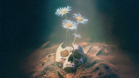 3rd Drop_v2: The Flower Skull Short Sleeve T-Shirt